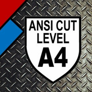 ANSI A4